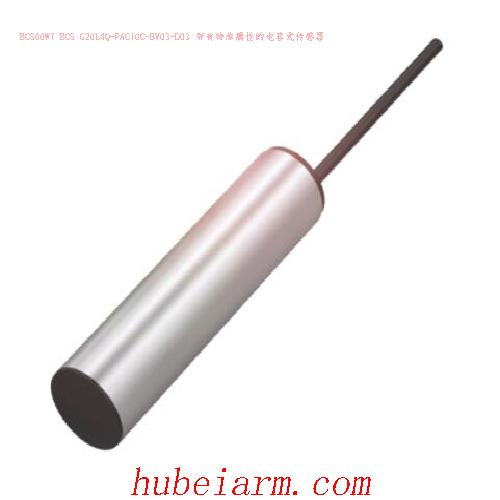 BCS00W7 BCS G20L4Q-PAC10C-EV03-D03 BALLUFF巴鲁夫 带有特殊属性的电容式传感器