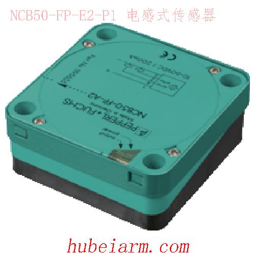 【NCB50-FP-E2-P1 电感式传感器 】 PEPPERL_FUCHS倍加福（P+F）_厂家代理-湖北埃尔米