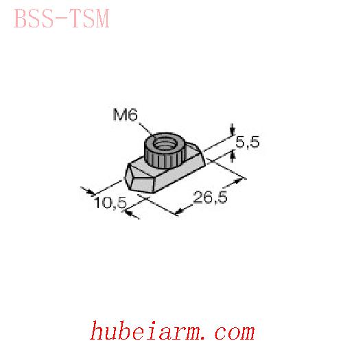 【6901323 BSS-TSM 附件 导轨螺母 】 TURCK图尔克_厂家代理-湖北埃尔米
